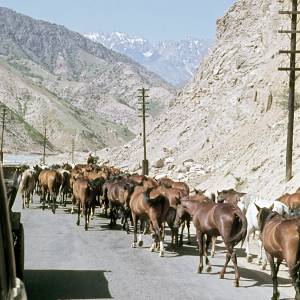 tadzhikistan.jpg
