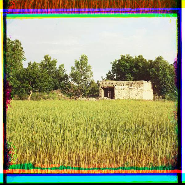 adobe_building_in_a_grassy_field_trees_in_background.jpg