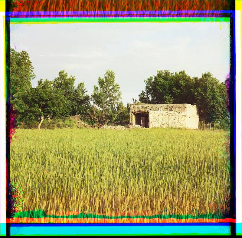 adobe_building_in_a_grassy_field_trees_in_background.jpg