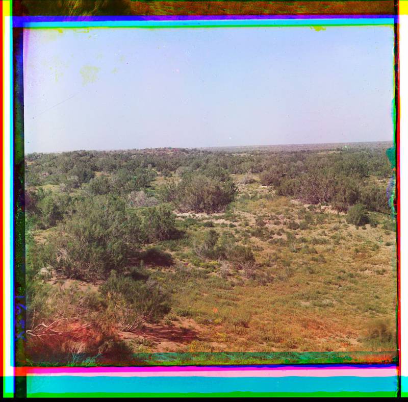 expanse_of_land_covered_with_shrubs.jpg