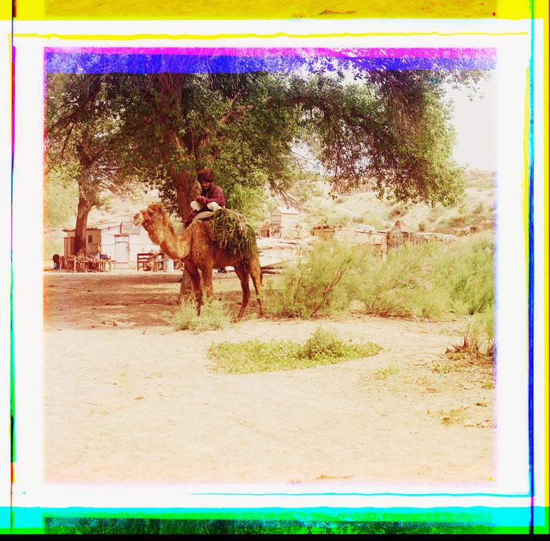 man_on_camel_buildings_in_background.jpg