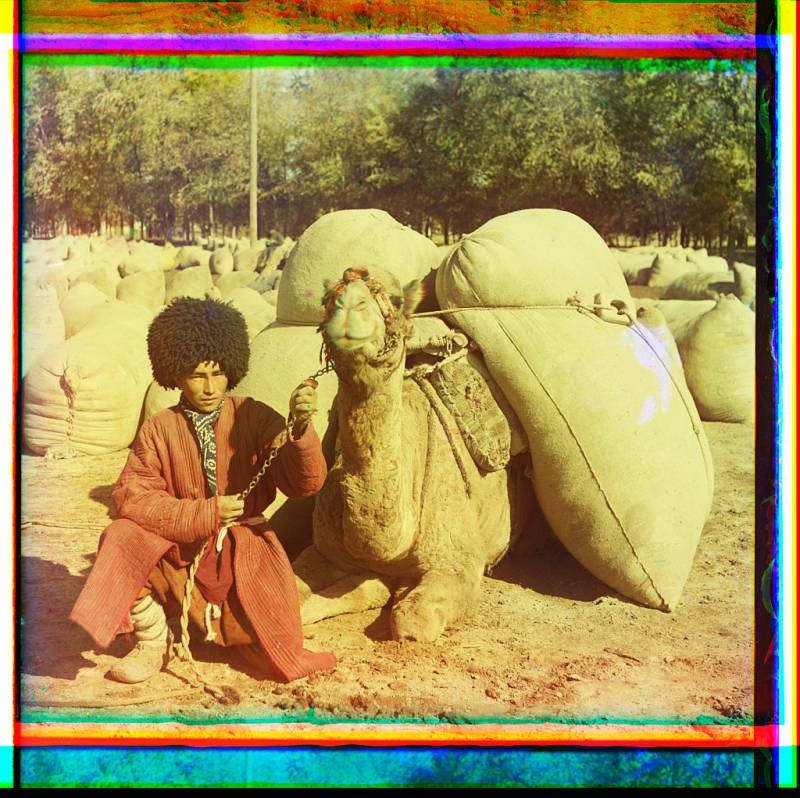 man_with_camel_loaded_with_packs.jpg