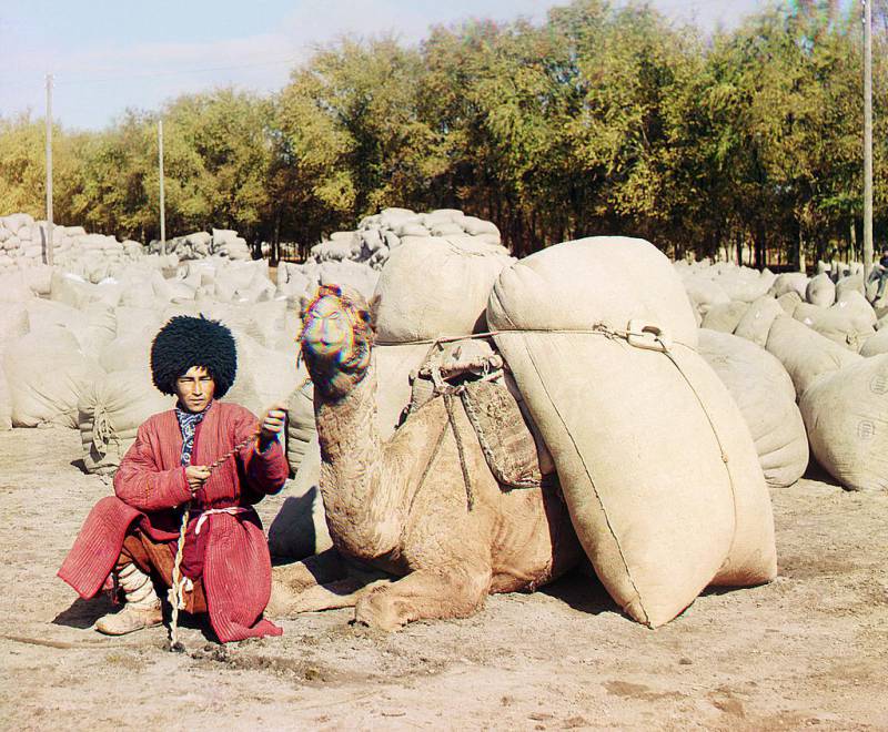turkmen_man_posing_with_camel_loaded_with_sacks_probably_of_grain_or_cotton_central_asia.jpg