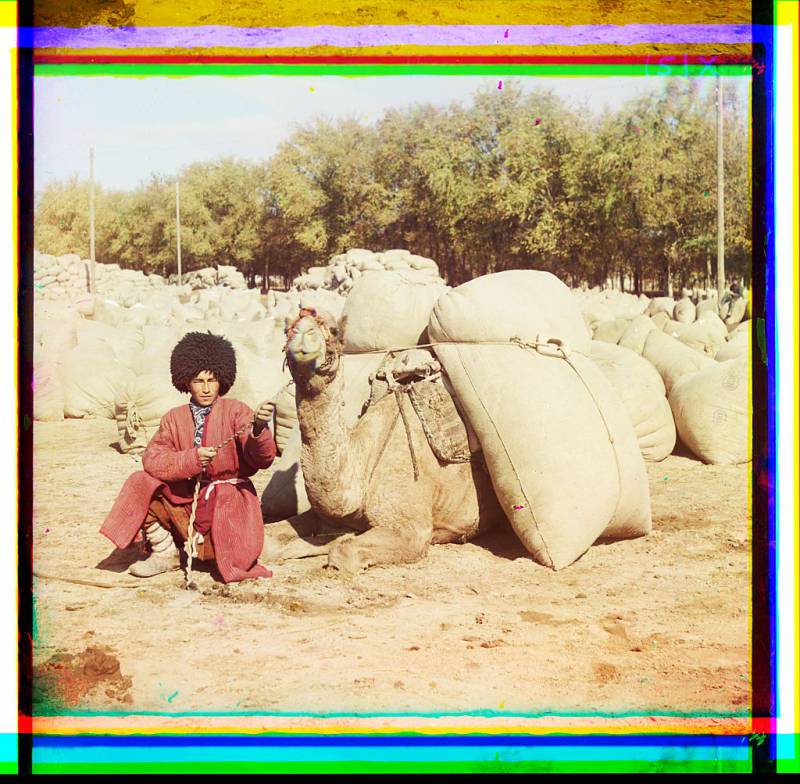 turkmen_man_posing_with_camel_loaded_with_sacks_probably_of_grain_or_cotton_central_asia_2.jpg