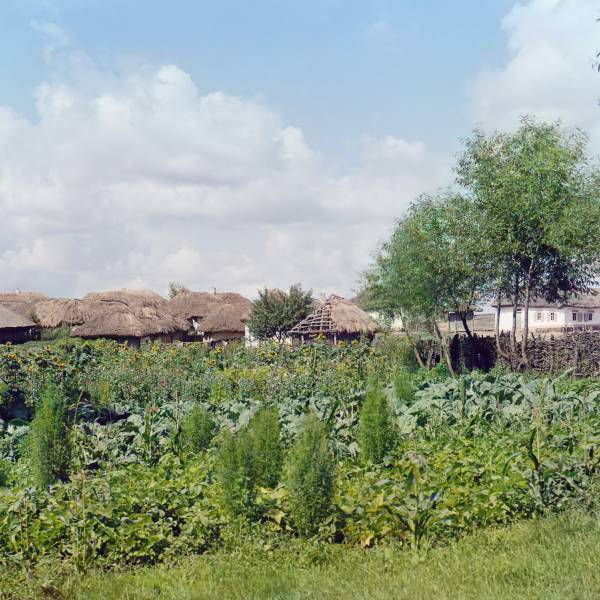 v_malorossii_bliz_g._putivlja_kurskoj_gubernii_._ogorod_.jpg