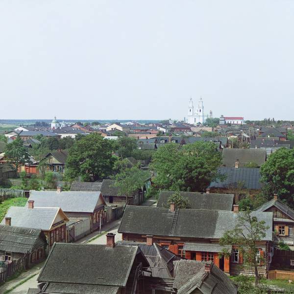 polock._vid_s_severo-vostoka.jpg