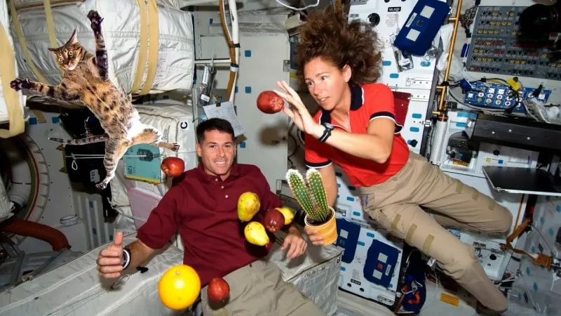 Невесомость