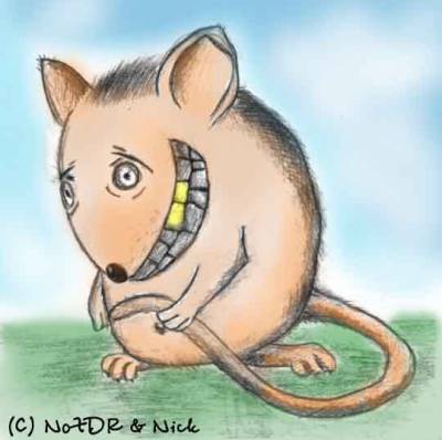 n_mouse.jpg