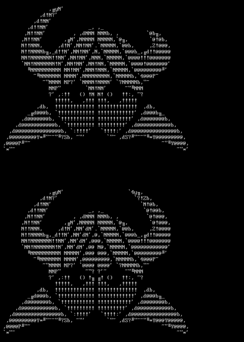 n_samur2.asc.png