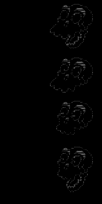 n_skel.asc.png
