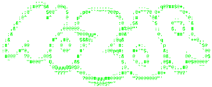 nozdr_ascii2.gif