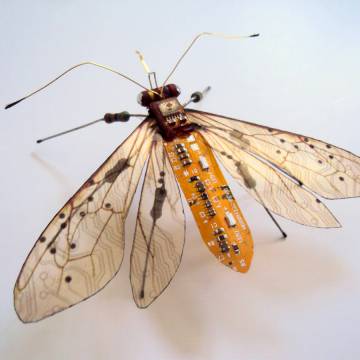 circuit-based-insects-05.jpg