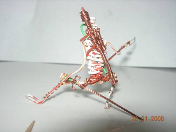 img497d0c11f0733.jpg