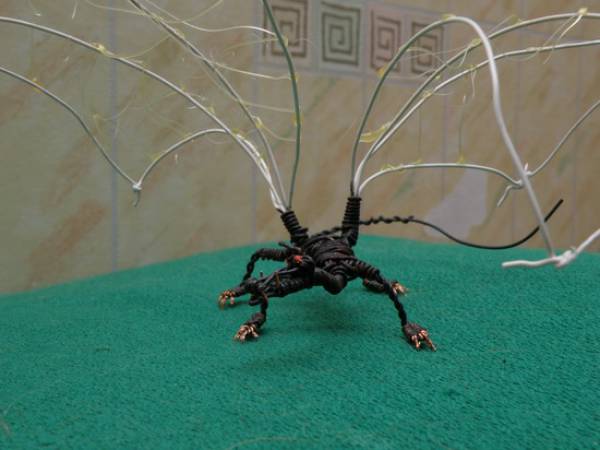 img4997e42c5b2f5.jpg