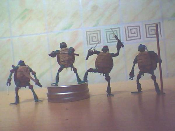 img49b55a1621030.jpg