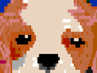 c_puppy.ans.png