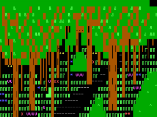 the_wood.ans.png