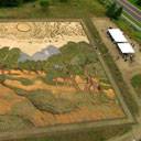 Картина Ван Гога на поле