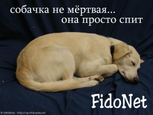 1271790501.png
