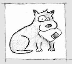 dog.jpg