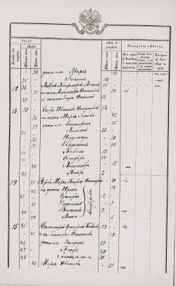 Состав семьи Никаноровых в 1917 году