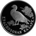 Краснозобая казарка Краснозобая казарка