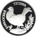 Кавказский тетерев Кавказский тетерев