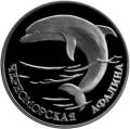 Черноморская афалина Черноморская афалина
