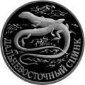 Дальневосточный сцинк Дальневосточный сцинк