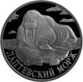 Лаптевский морж Лаптевский морж