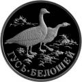 Гусь-белошей Гусь-белошей