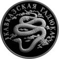 Кавказская гадюка Кавказская гадюка