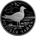 Розовая чайка Розовая чайка