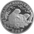 Западносибирский бобр Западносибирский бобр