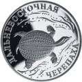 Дальневосточная черепаха Дальневосточная черепаха