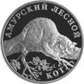Амурский лесной кот Амурский лесной кот