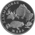 Камышовая жаба Камышовая жаба