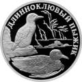 Длинноклювый пыжик Длинноклювый пыжик