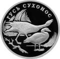Гусь сухонос Гусь сухонос
