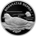 Кольчатая нерпа (ладожский подвид) Кольчатая нерпа (ладожский подвид)