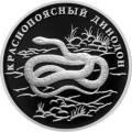 Краснопоясный динодон Краснопоясный динодон