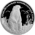 Прибайкальский черношапочный сурок Прибайкальский черношапочный сурок