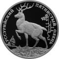 Уссурийский пятнистый олень Уссурийский пятнистый олень