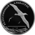Белоспинный альбатрос Белоспинный альбатрос