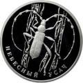 Небесный усач Небесный усач