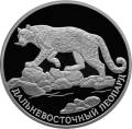 Дальневосточный леопард Дальневосточный леопард