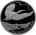 Красноногий ибис Красноногий ибис