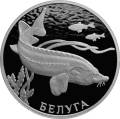 Белуга Белуга