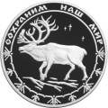 Северный олень Северный олень