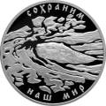 Речной бобр Речной бобр